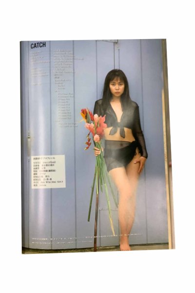 画像3: 【中古】西野妙子写真集　CATCH／西野妙子／コンパス (3)