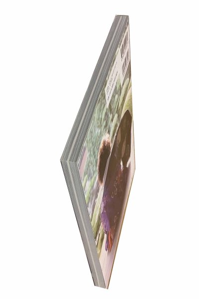 画像2: 【中古】徳山秀典写真集　一つの心のいくつかの叫び／徳山秀典／STUDIO WARP (2)