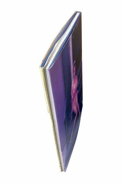 画像3: 【中古】高岡早紀写真集　Private dreams／高岡早紀／ワニブックス (3)